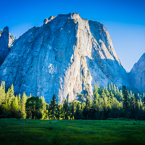 A large mountain with trees in the foreground.